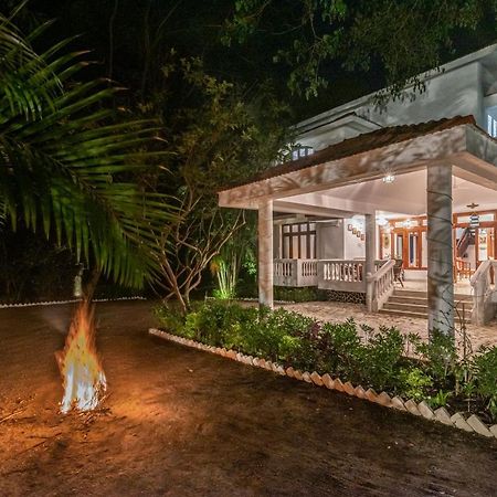 Saffronstays Chikoo Wadi- 3Bdr Pet-Friendly Villa With Pool In Boisar Kültér fotó