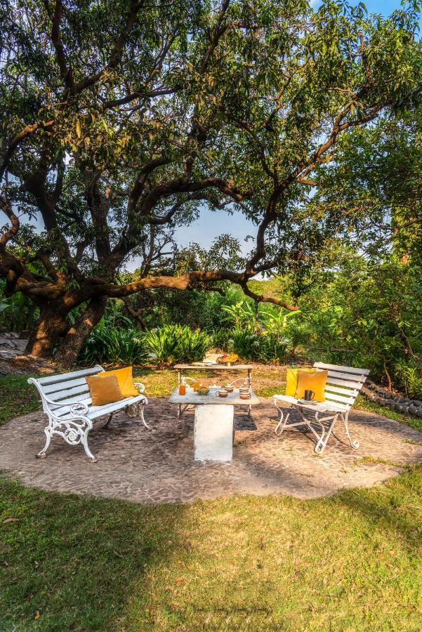 Saffronstays Chikoo Wadi- 3Bdr Pet-Friendly Villa With Pool In Boisar Kültér fotó